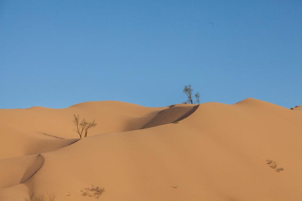 Mit dem Jeep durch die Sahara