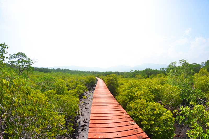 Mangroven-Hideaway-ostküste-koh-chang