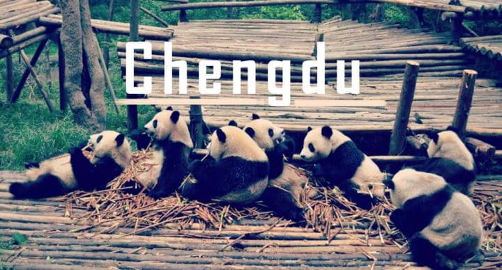 Chengdu in China: Der Große Panda und verdammt scharfes Essen